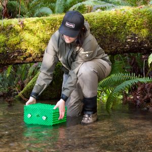 Jordan / Scotty Fish Egg Incubator - Image 3